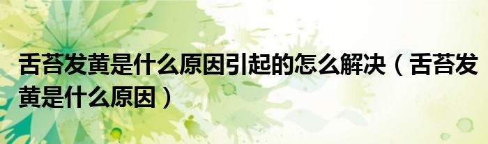 舌苔發(fā)黃是什么原因引起的怎么解決(舌苔發(fā)黃是什么原因)