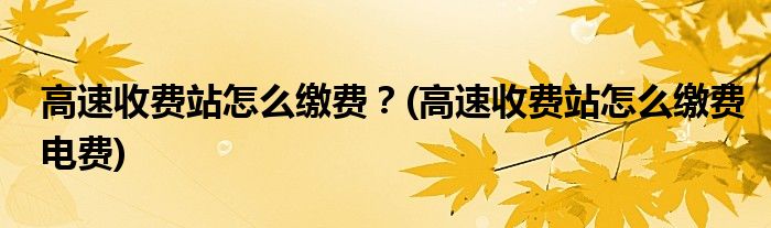 高速收費(fèi)站怎么繳費(fèi)？(高速收費(fèi)站怎么繳費(fèi)電費(fèi))