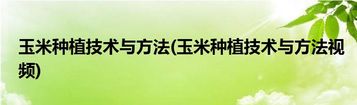 玉米種植技術與方法(玉米種植技術與方法視頻)