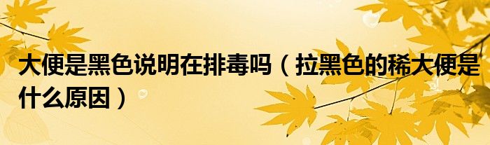 大便是黑色說(shuō)明在排毒嗎（拉黑色的稀大便是什么原因）