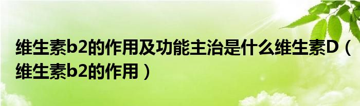 維生素b2的作用及功能主治是什么維生素D(維生素b2的作用)