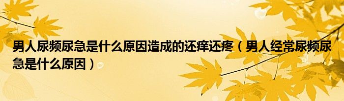 男人尿頻尿急是什么原因造成的還癢還疼（男人經(jīng)常尿頻尿急是什么原因）