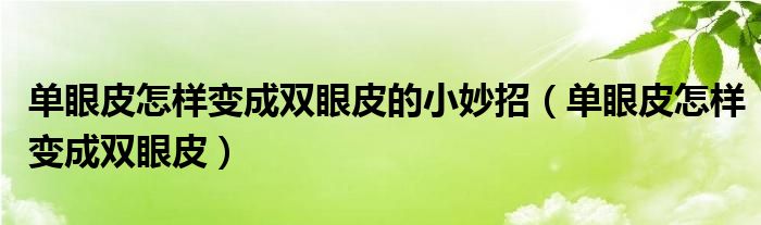 單眼皮怎樣變成雙眼皮的小妙招(單眼皮怎樣變成雙眼皮)