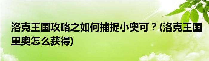 洛克王國攻略之如何捕捉小奧可？(洛克王國里奧怎么獲得)