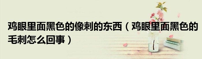 雞眼里面黑色的像刺的東西（雞眼里面黑色的毛刺怎么回事）