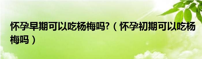 懷孕早期可以吃楊梅嗎?（懷孕初期可以吃楊梅嗎）