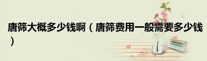 唐篩大概多少錢?。ㄌ坪Y費(fèi)用一般需要多少錢）
