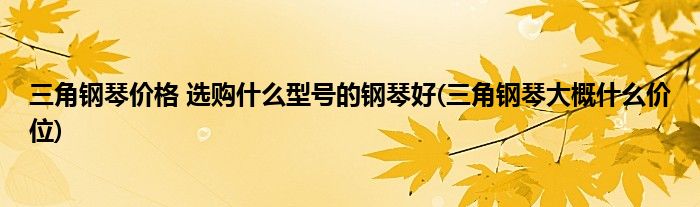 三角鋼琴價格 選購什么型號的鋼琴好(三角鋼琴大概什么價位)