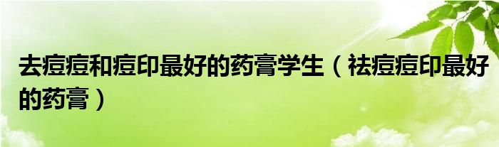 去痘痘和痘印最好的藥膏學(xué)生(祛痘痘印最好的藥膏)