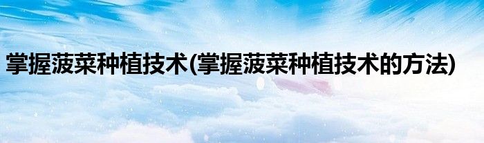 掌握菠菜種植技術(掌握菠菜種植技術的方法)