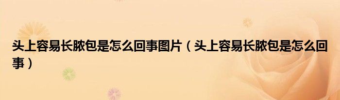 頭上容易長膿包是怎么回事圖片（頭上容易長膿包是怎么回事）