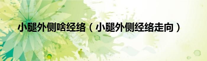 小腿外側(cè)啥經(jīng)絡(luò)（小腿外側(cè)經(jīng)絡(luò)走向）
