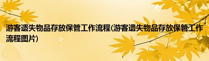 游客遺失物品存放保管工作流程(游客遺失物品存放保管工作流程圖片)