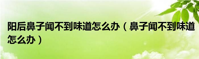 陽后鼻子聞不到味道怎么辦（鼻子聞不到味道怎么辦）