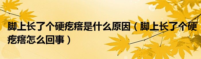 腳上長(zhǎng)了個(gè)硬疙瘩是什么原因（腳上長(zhǎng)了個(gè)硬疙瘩怎么回事）