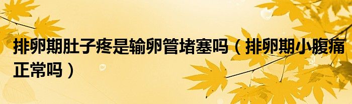 排卵期肚子疼是輸卵管堵塞嗎（排卵期小腹痛正常嗎）