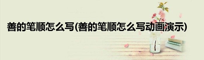 善的筆順怎么寫(善的筆順怎么寫動畫演示)