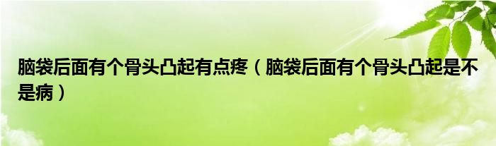 腦袋后面有個骨頭凸起有點疼（腦袋后面有個骨頭凸起是不是病）