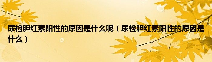 尿檢膽紅素陽性的原因是什么呢（尿檢膽紅素陽性的原因是什么）