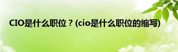 CIO是什么職位？(cio是什么職位的縮寫)