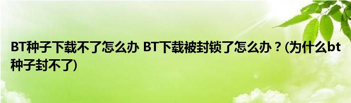 BT種子下載不了怎么辦 BT下載被封鎖了怎么辦？(為什么bt種子封不了)