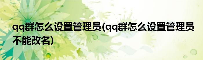 qq群怎么設(shè)置管理員(qq群怎么設(shè)置管理員不能改名)