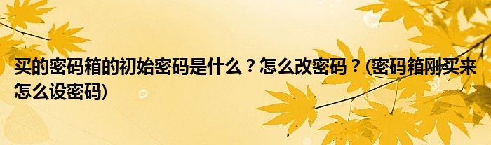 買的密碼箱的初始密碼是什么？怎么改密碼？(密碼箱剛買來怎么設(shè)密碼)