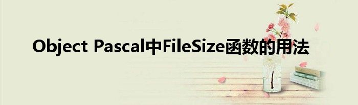 Object Pascal中FileSize函數(shù)的用法