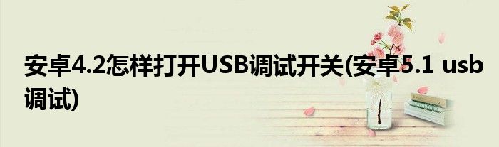 安卓4.2怎樣打開USB調(diào)試開關(guān)(安卓5.1 usb調(diào)試)