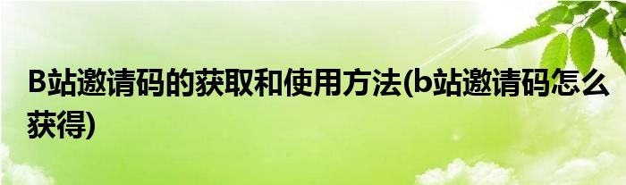 B站邀請(qǐng)碼的獲取和使用方法(b站邀請(qǐng)碼怎么獲得)