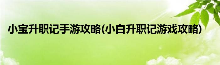 小寶升職記手游攻略(小白升職記游戲攻略)