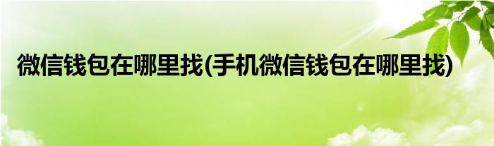 微信錢包在哪里找(手機(jī)微信錢包在哪里找)