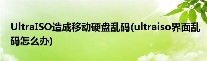 UltraISO造成移動(dòng)硬盤(pán)亂碼(ultraiso界面亂碼怎么辦)