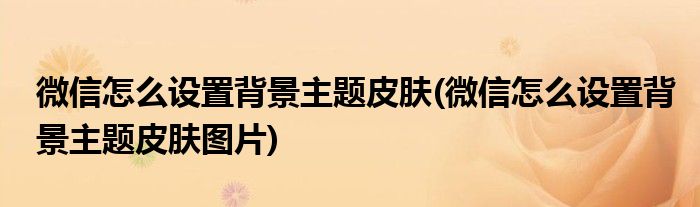 微信怎么設置背景主題皮膚(微信怎么設置背景主題皮膚圖片)