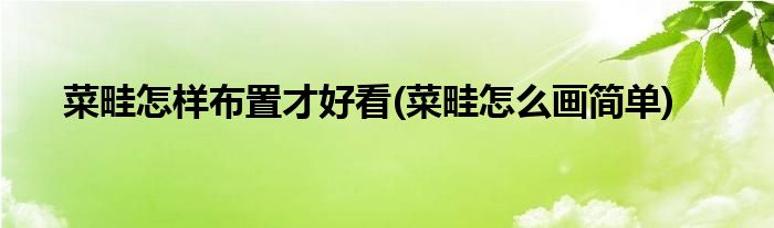 菜畦怎樣布置才好看(菜畦怎么畫簡單)