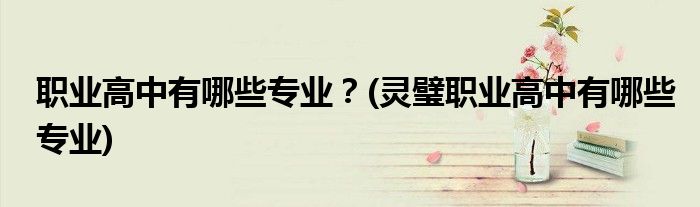 職業(yè)高中有哪些專業(yè)？(靈璧職業(yè)高中有哪些專業(yè))