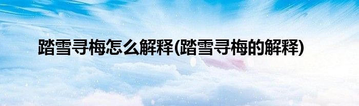 踏雪尋梅怎么解釋(踏雪尋梅的解釋)
