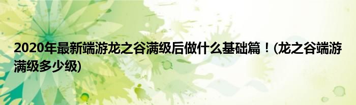 2020年最新端游龍之谷滿級后做什么基礎(chǔ)篇！(龍之谷端游滿級多少級)
