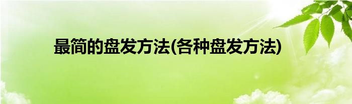 最簡的盤發(fā)方法(各種盤發(fā)方法)