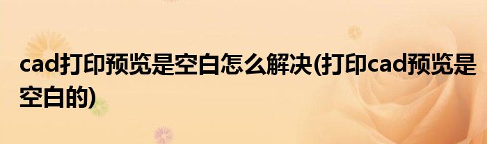 cad打印預(yù)覽是空白怎么解決(打印cad預(yù)覽是空白的)