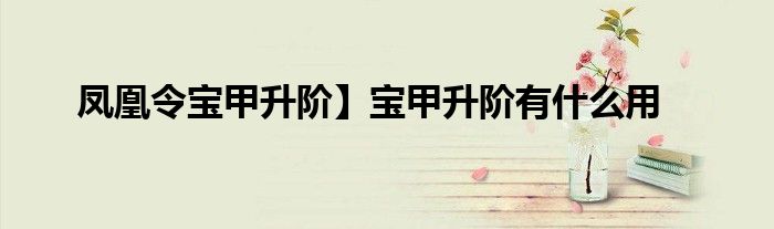 鳳凰令寶甲升階】寶甲升階有什么用
