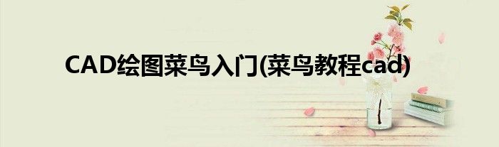 CAD繪圖菜鳥入門(菜鳥教程cad)