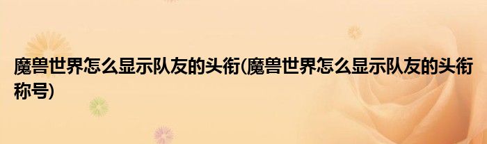 魔獸世界怎么顯示隊友的頭銜(魔獸世界怎么顯示隊友的頭銜稱號)