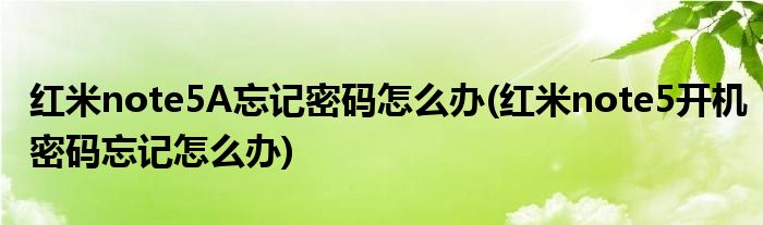 紅米note5A忘記密碼怎么辦(紅米note5開機(jī)密碼忘記怎么辦)