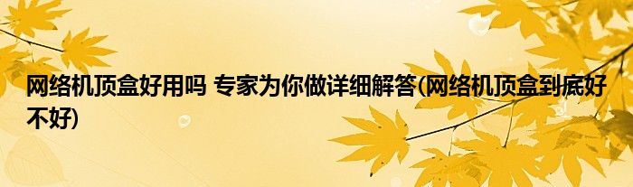 網(wǎng)絡(luò)機頂盒好用嗎 專家為你做詳細解答(網(wǎng)絡(luò)機頂盒到底好不好)