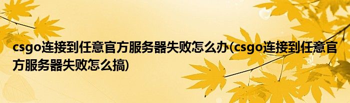 csgo連接到任意官方服務(wù)器失敗怎么辦(csgo連接到任意官方服務(wù)器失敗怎么搞)