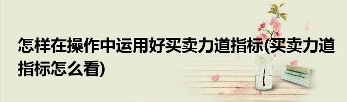 怎樣在操作中運(yùn)用好買(mǎi)賣(mài)力道指標(biāo)(買(mǎi)賣(mài)力道指標(biāo)怎么看)