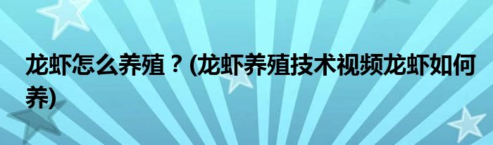 龍蝦怎么養(yǎng)殖？(龍蝦養(yǎng)殖技術(shù)視頻龍蝦如何養(yǎng))