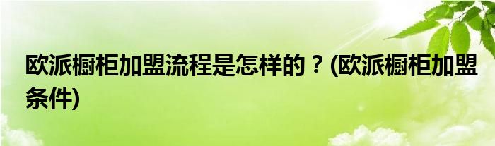 歐派櫥柜加盟流程是怎樣的？(歐派櫥柜加盟條件)