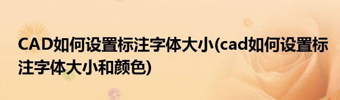 CAD如何設(shè)置標(biāo)注字體大小(cad如何設(shè)置標(biāo)注字體大小和顏色)